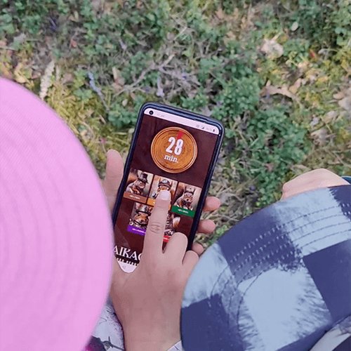 Kuva Aikaoravan pelitilanteesta