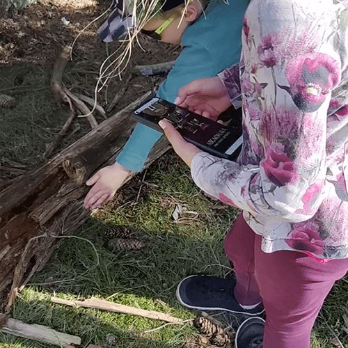 Kuva Aikaoravan pelitilanteesta