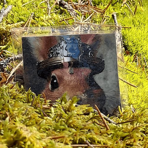 Kuva Aikaoravan pelitilanteesta